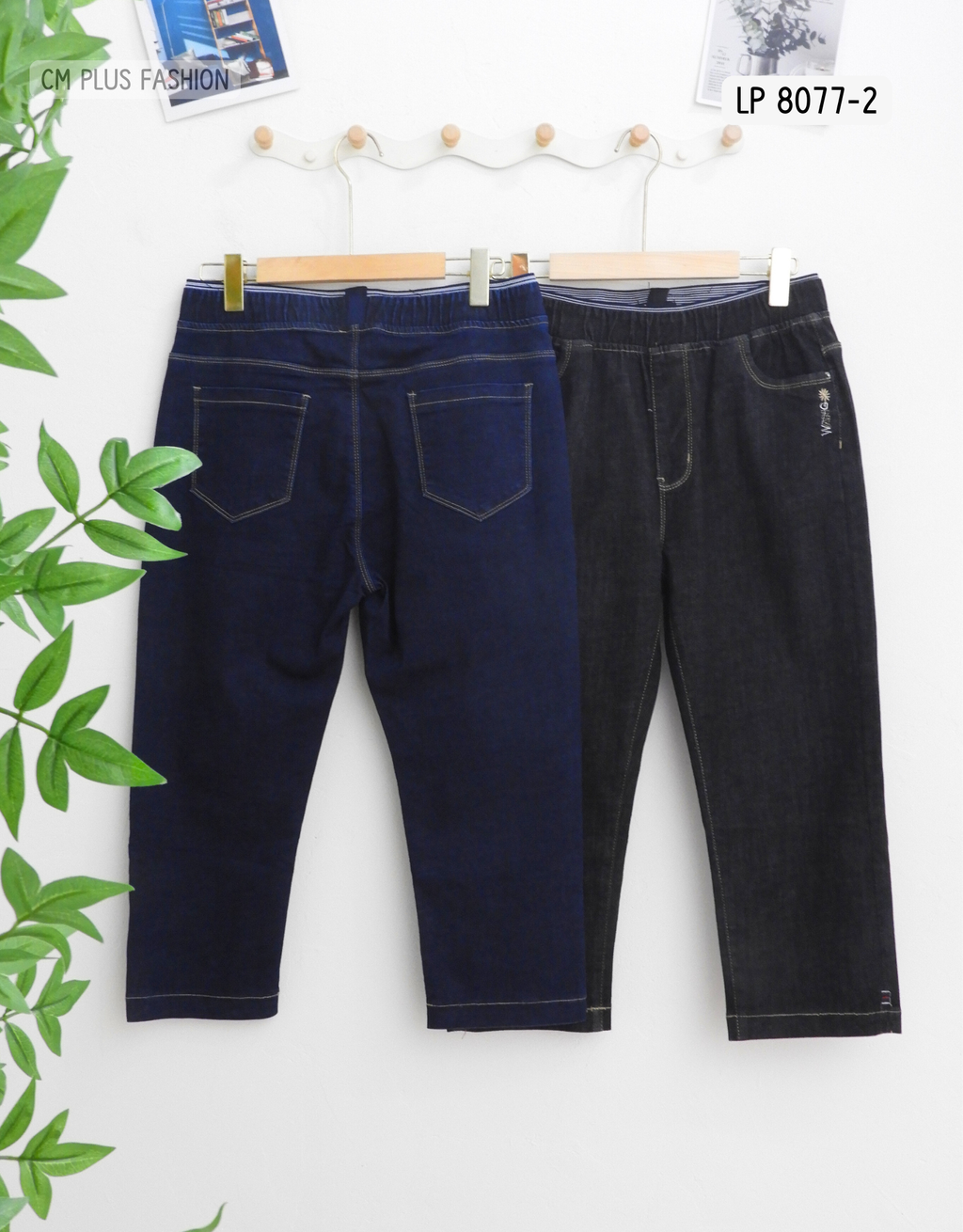 LP 8077-2 (2)
