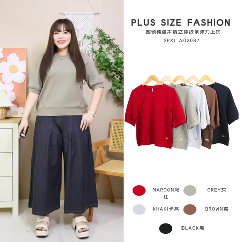 SPXL A02087 - Copy