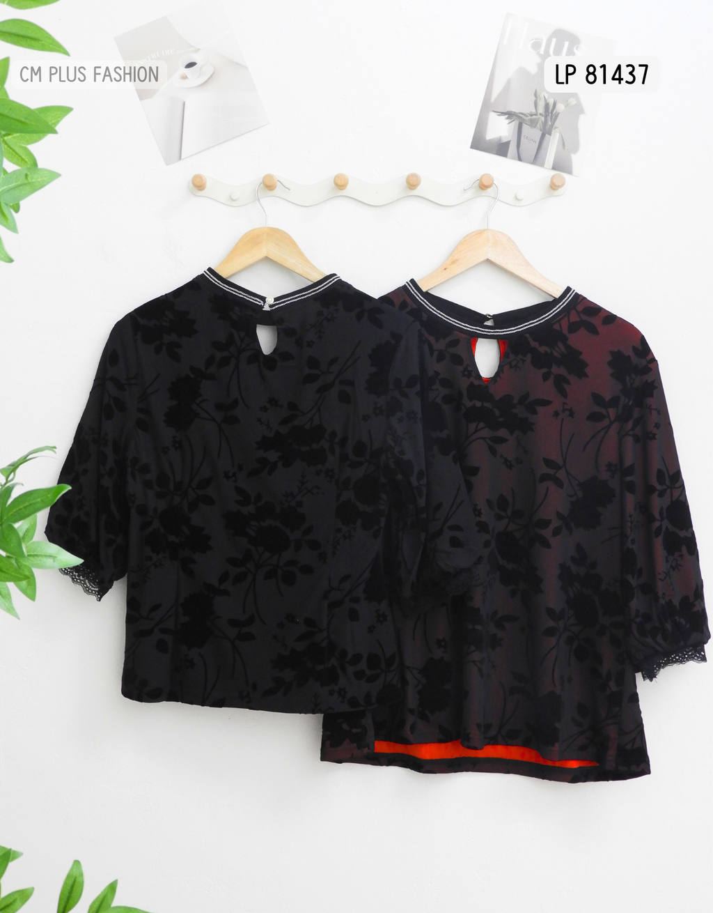 LP 81437 (2)
