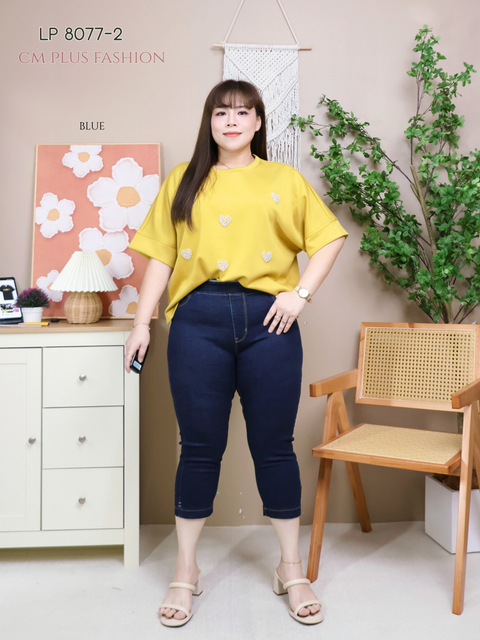 LP 8077-2-l