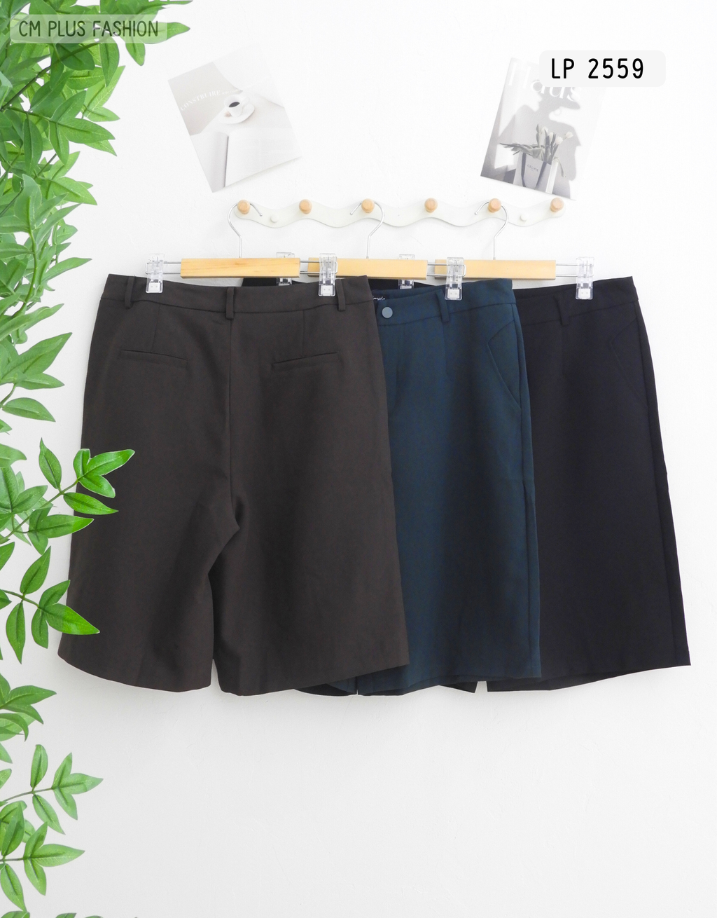 LP 2559 (2)