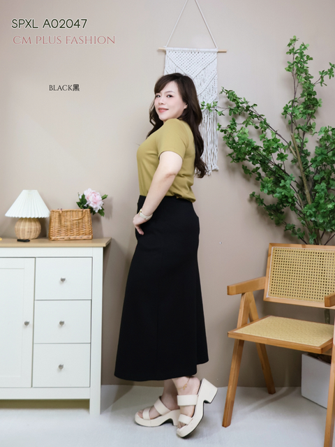 SPXL A02047-l (4)