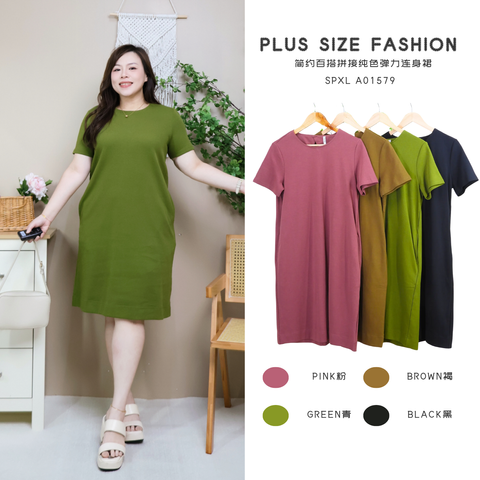 SPXL A01579