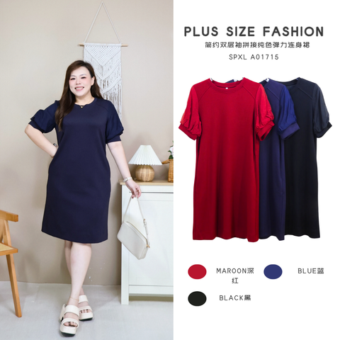 SPXL A01715 