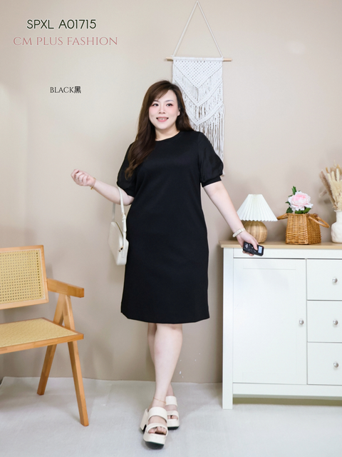 SPXL A01715-l (4)