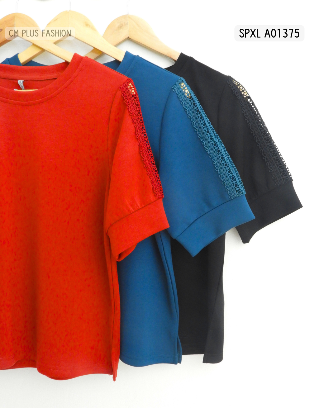SPXL A01375 (2)