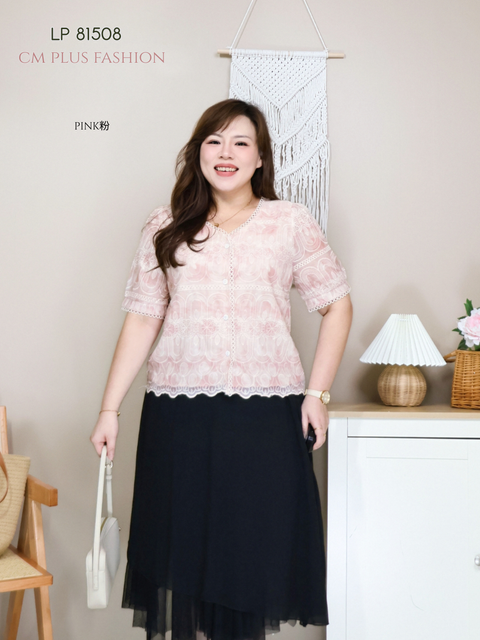 LP 81508-l (3)