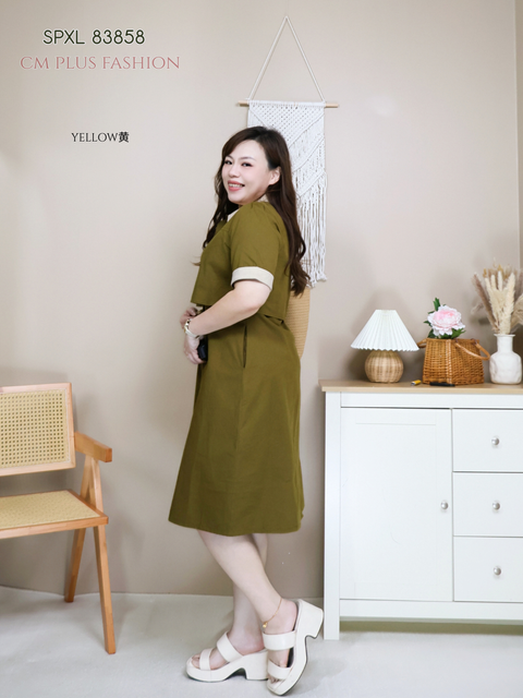 SPXL 83858-l (2)