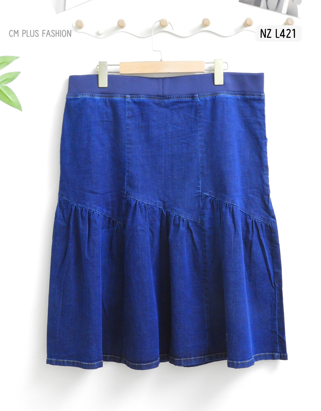 NZ L421 (2)
