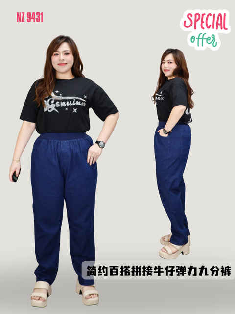 NZ 9431 (1)