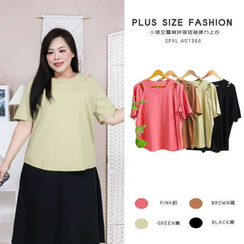 SPXL A01355