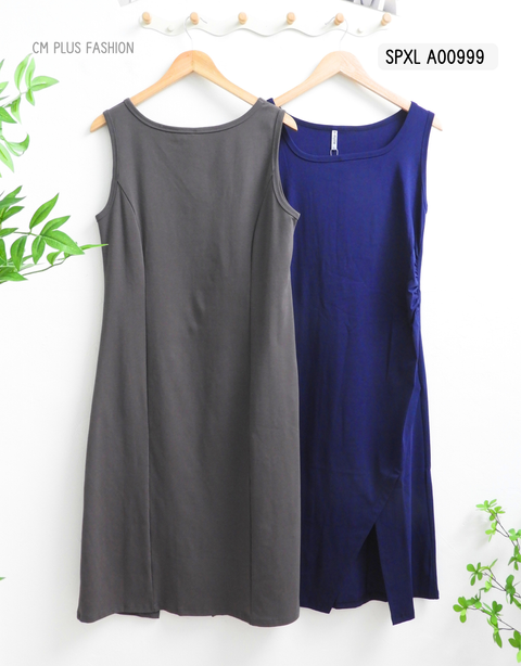 SPXL A00999 (2)