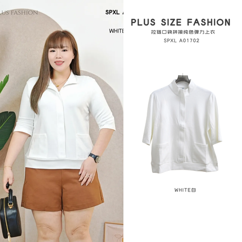 SPXL A01702