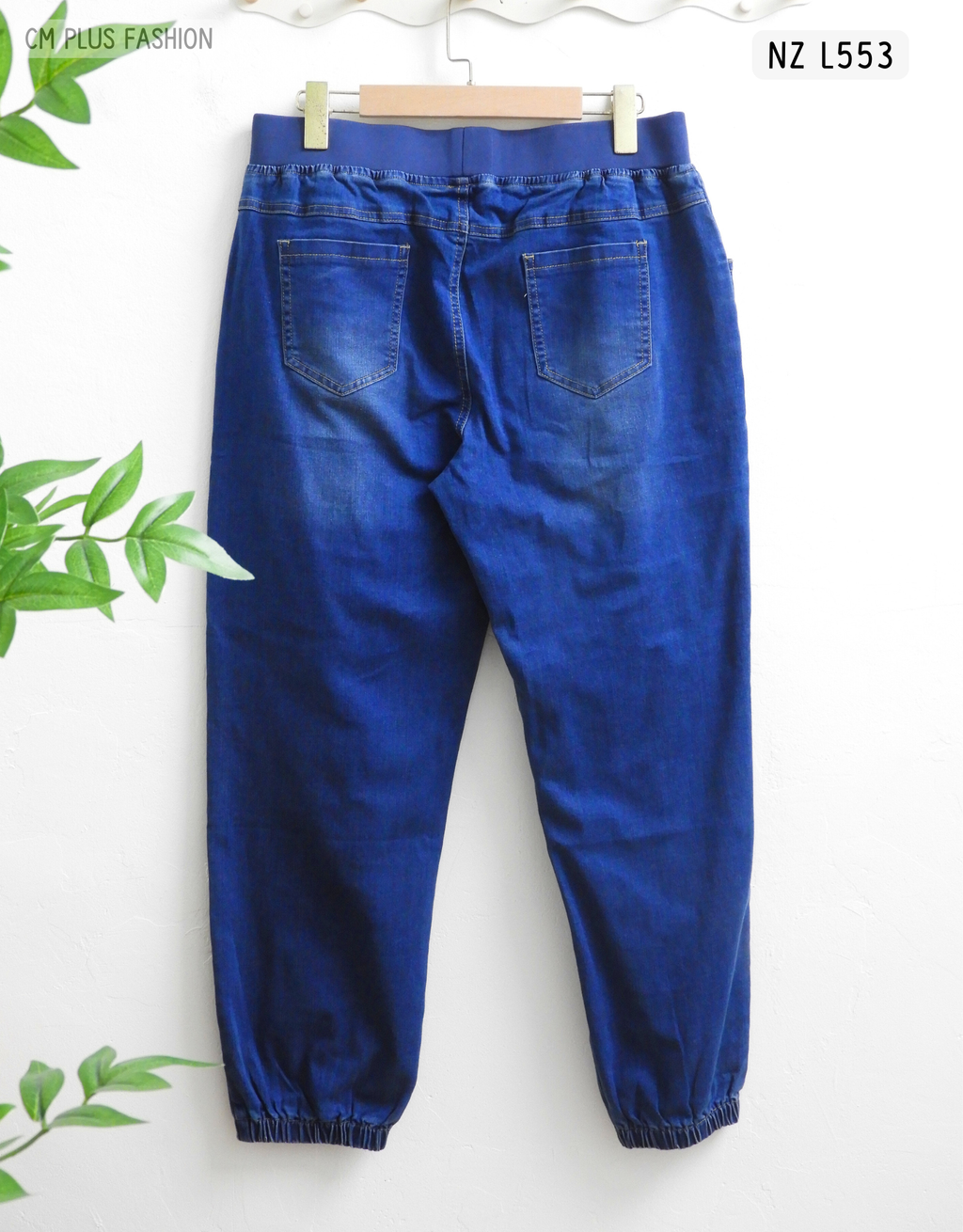 NZ L553 (2)