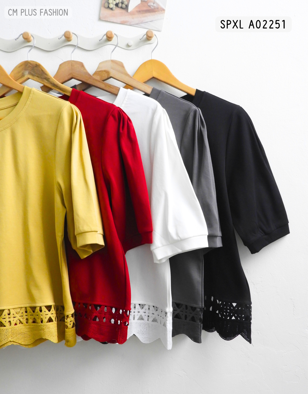 SPXL A02251 (3)