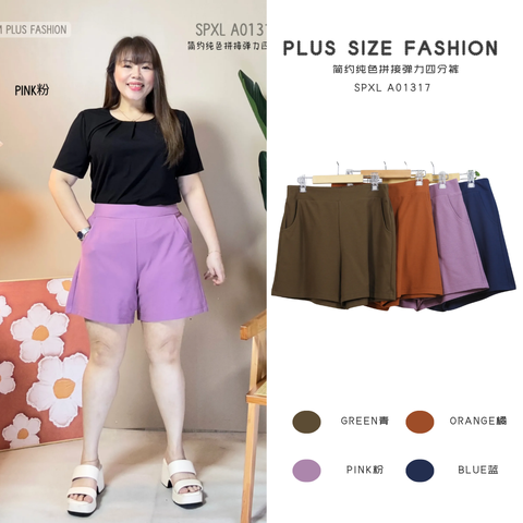 SPXL A01317