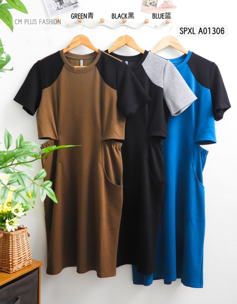 SPXL A01306
