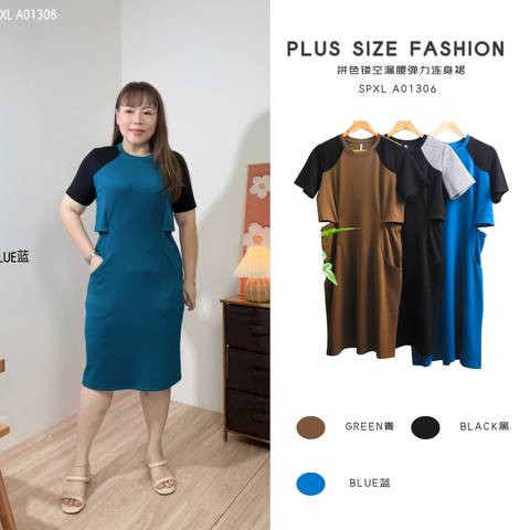 SPXL A01306 (1)