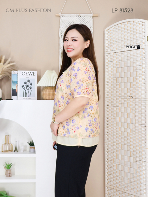 LP 81528Q (2)