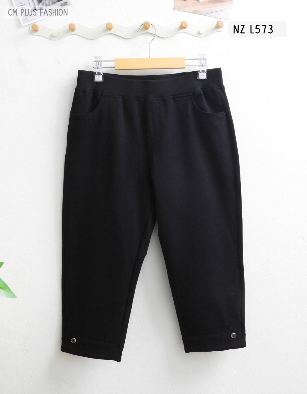 NZ L573