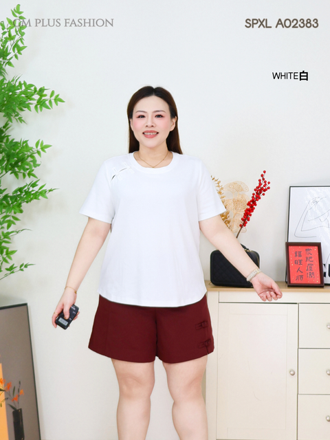 SPXL A02383Q (3)