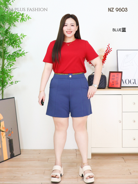 NZ 9603Q