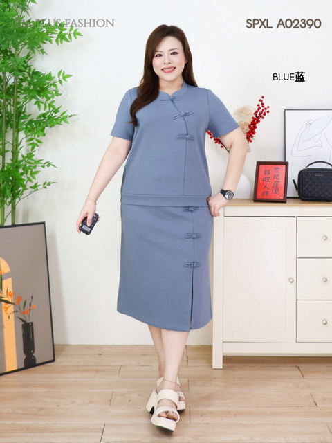 SPXL A02390Q (2)