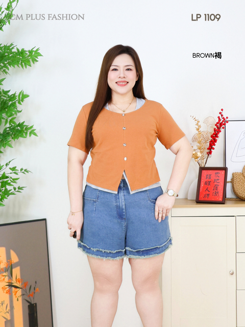LP 1109Q (4)