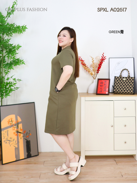 SPXL A02617Q