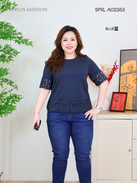 SPXL A02263Q (3)