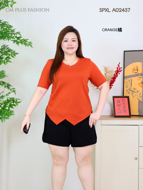 SPXL A02437Q (4)