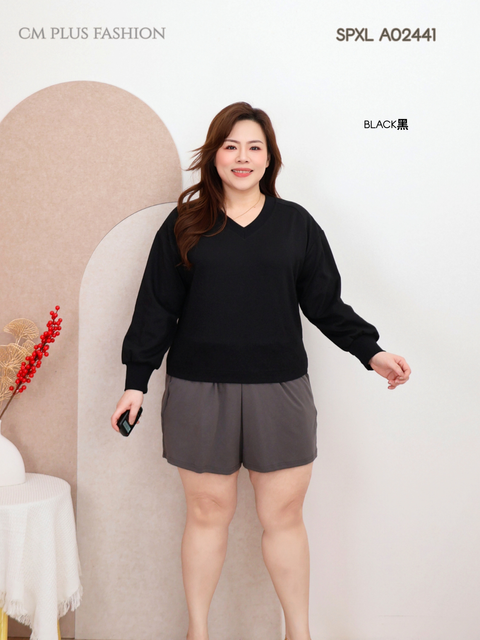 SPXL A02441-I (6)