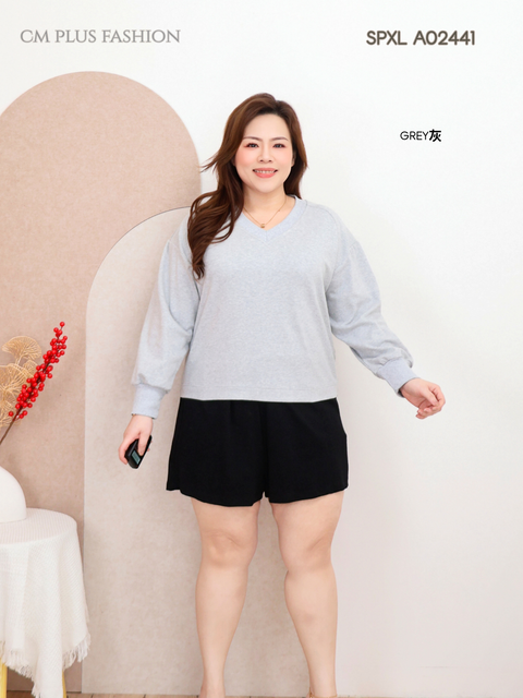 SPXL A02441-I