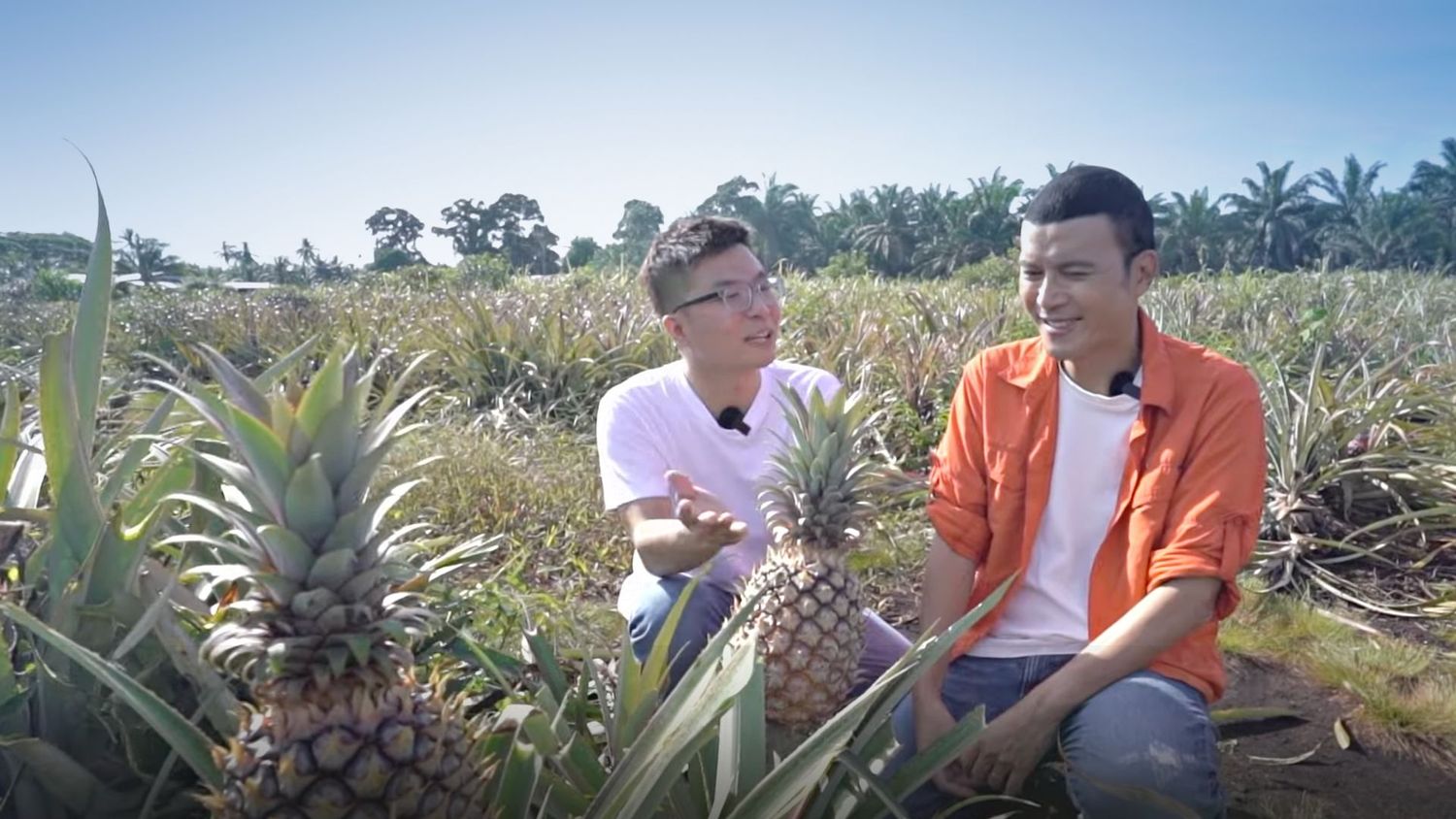 Fruit First: Real Fruit Tea 100% Product of Muar, Johor, Malaysia | Featured by 8TV Malaysia