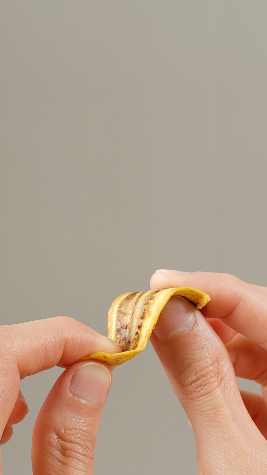 Fruit First: Dried Fruit 100% Made in Malaysia | Fruits on New Package from RM4.90 Only