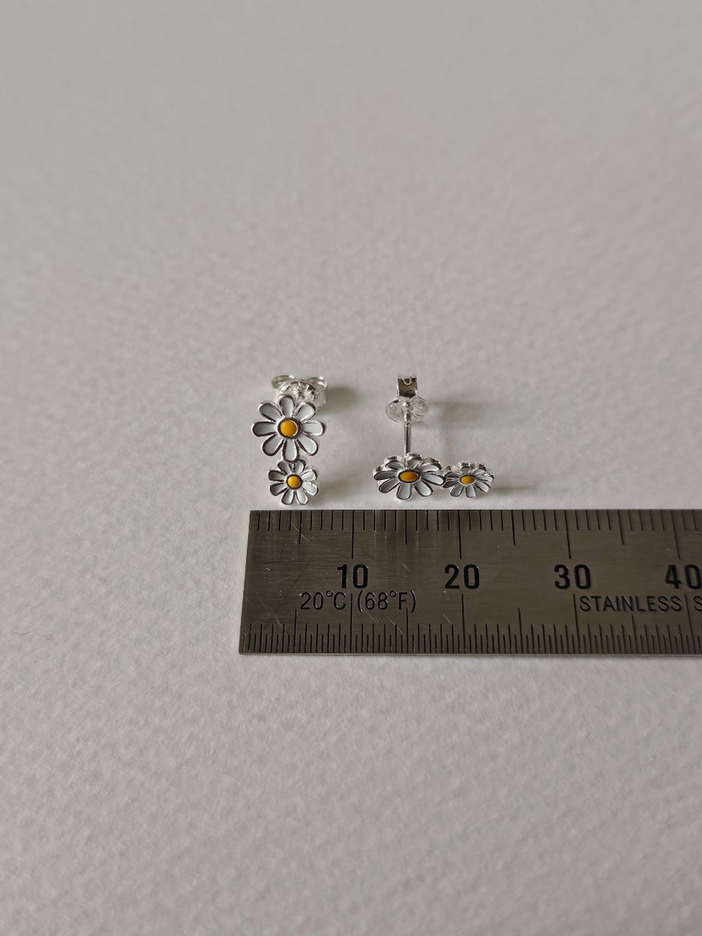 E103 小雛菊 (1)