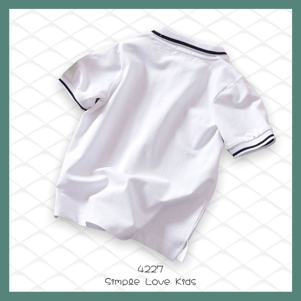 4227_B.png