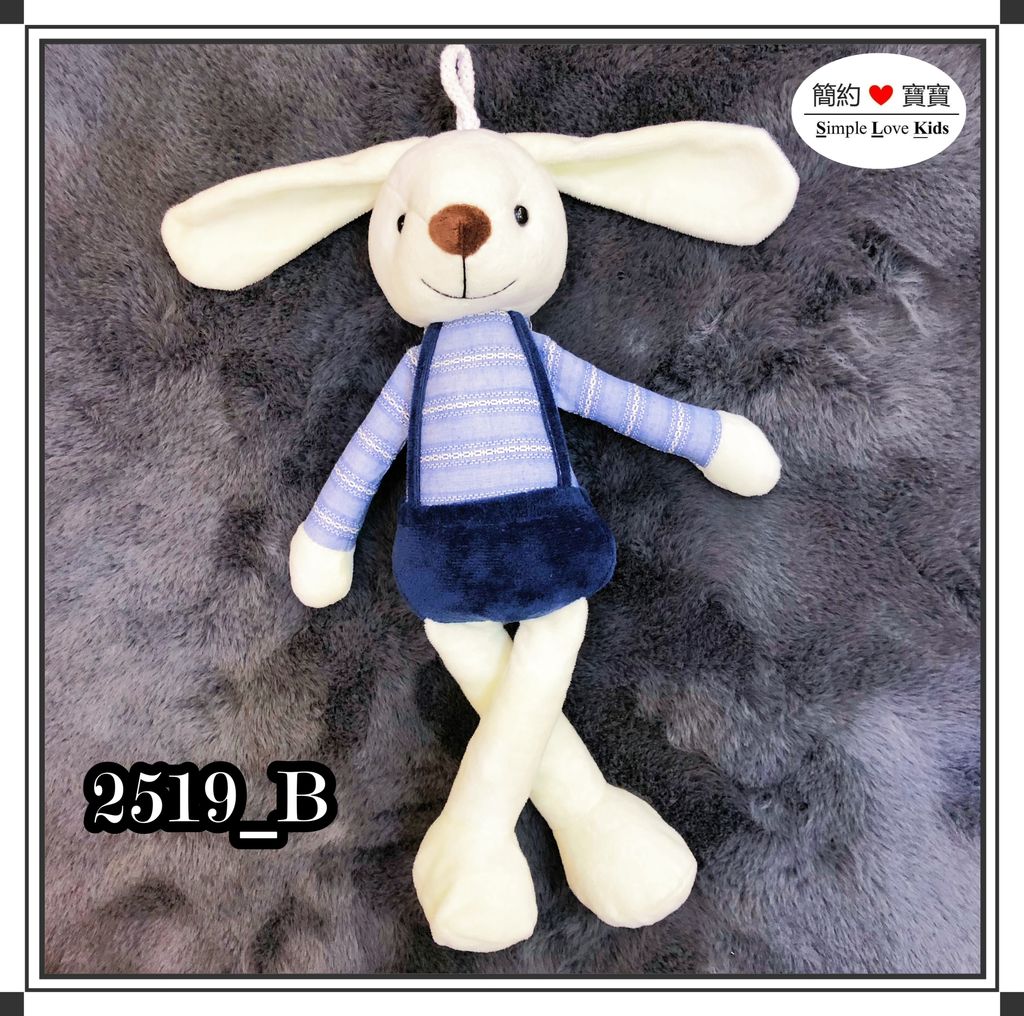 2519_B
