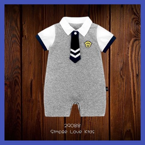 29088_Grey