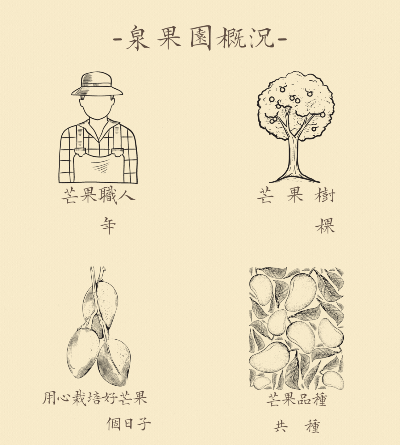 -泉果園概況--2