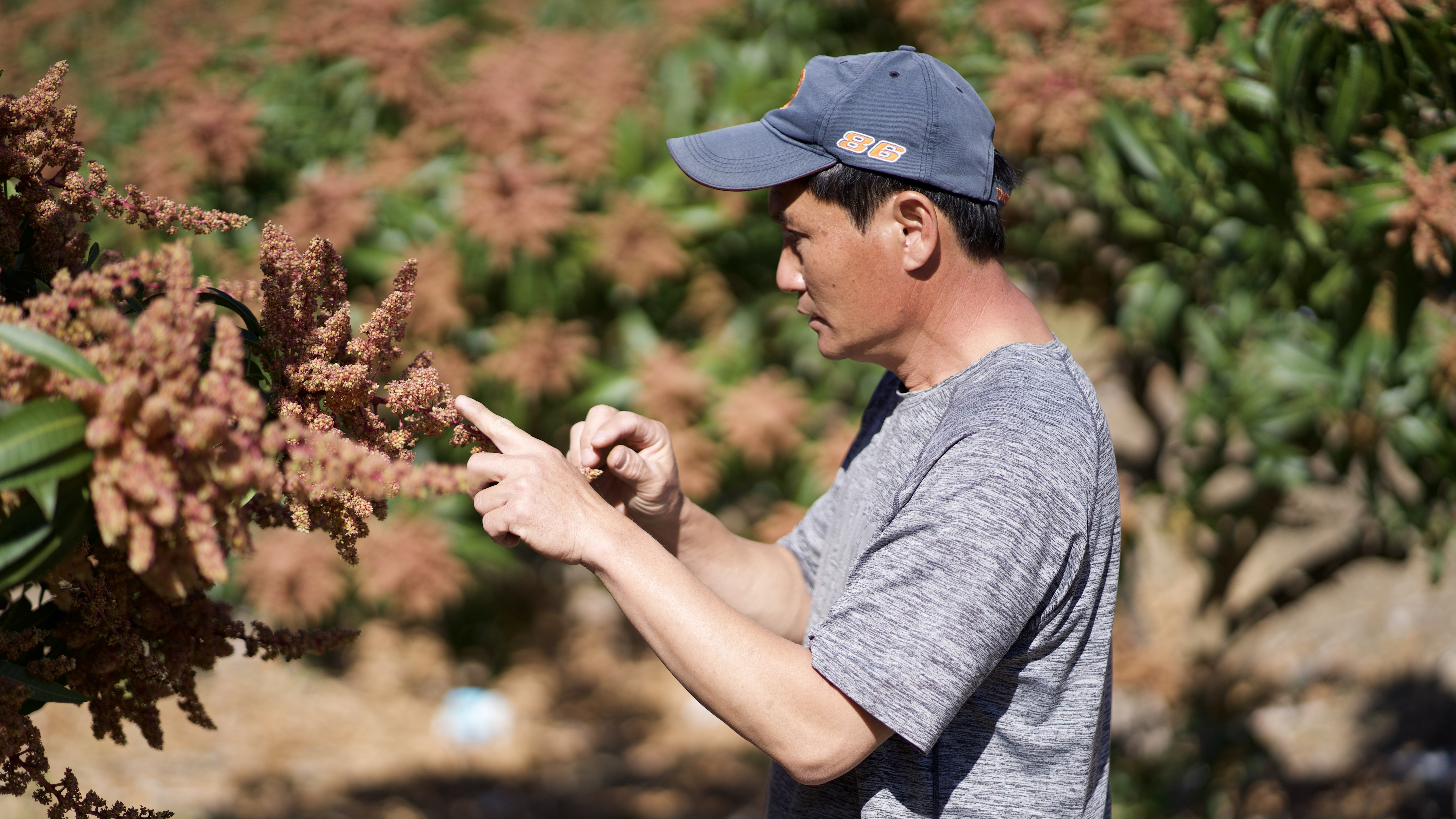 林龍國先生照片