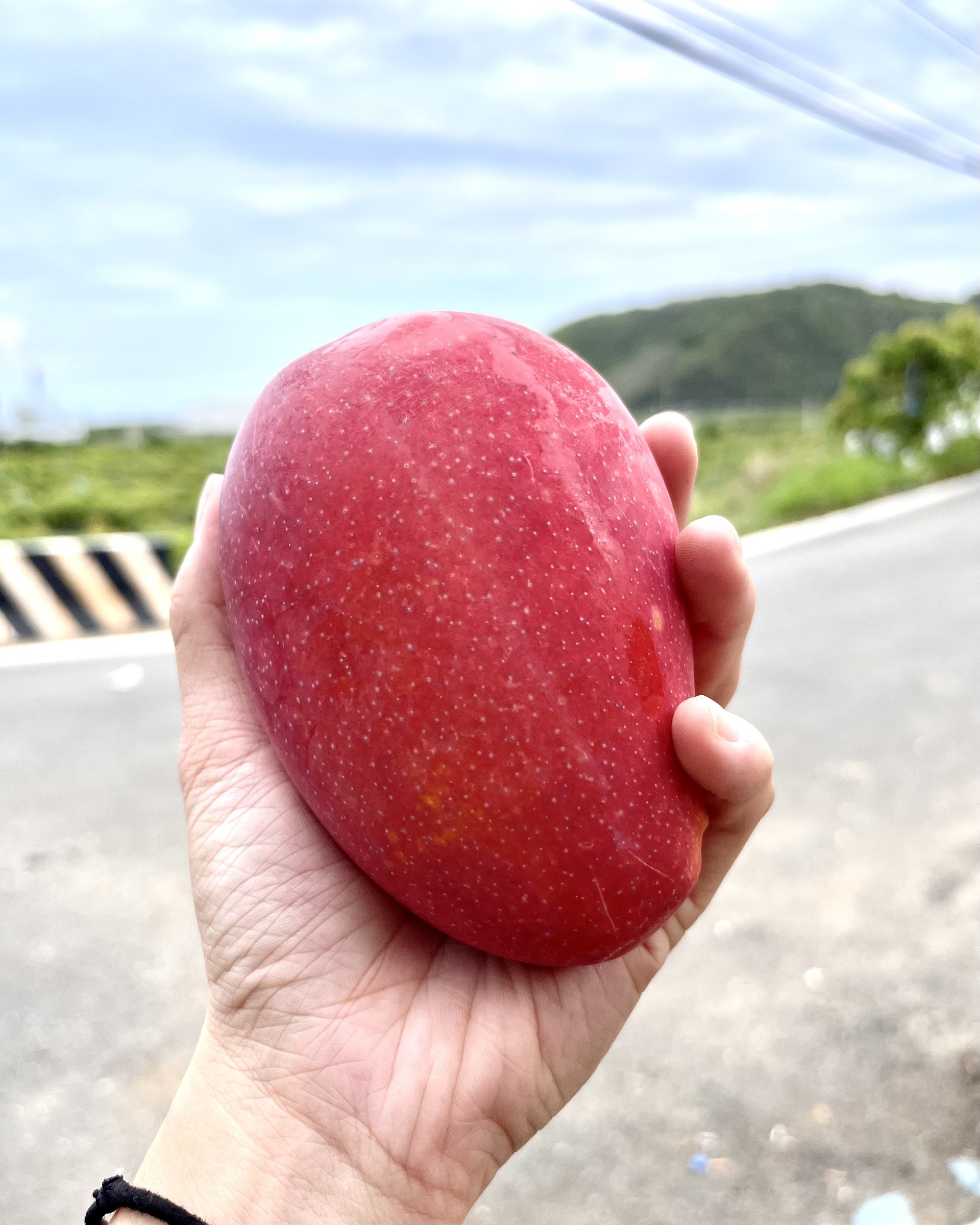 水蜜桃芒果