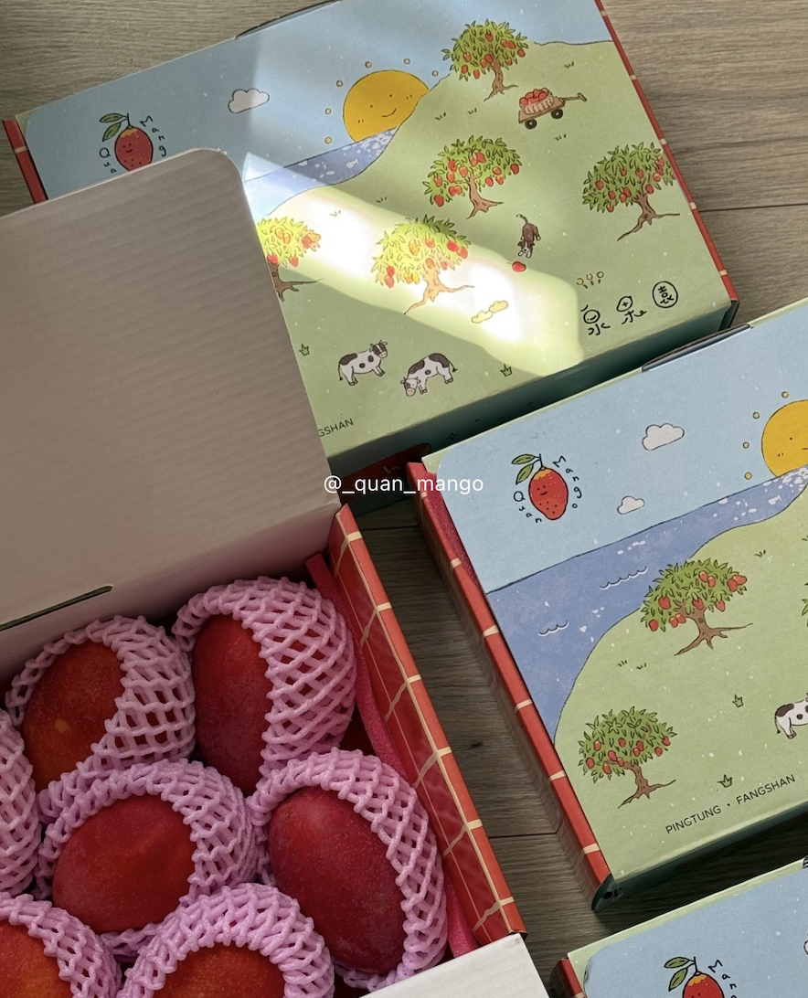 泉果園金龍芒果 去年產季