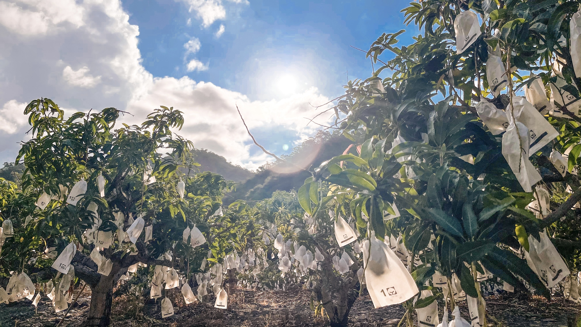 職人堅持示意圖