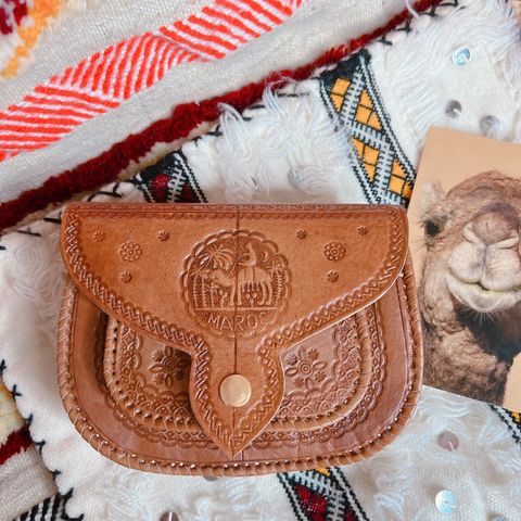 IMG_3529-1703820177716