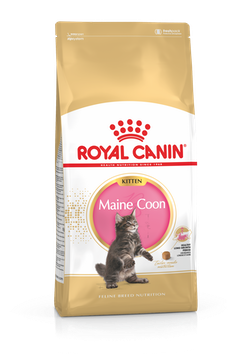 royal canin maine coon kitten