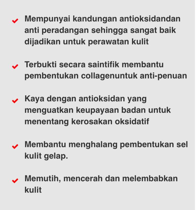 WhatsApp Image 2020-05-22 at 9.24.18 PM.jpeg