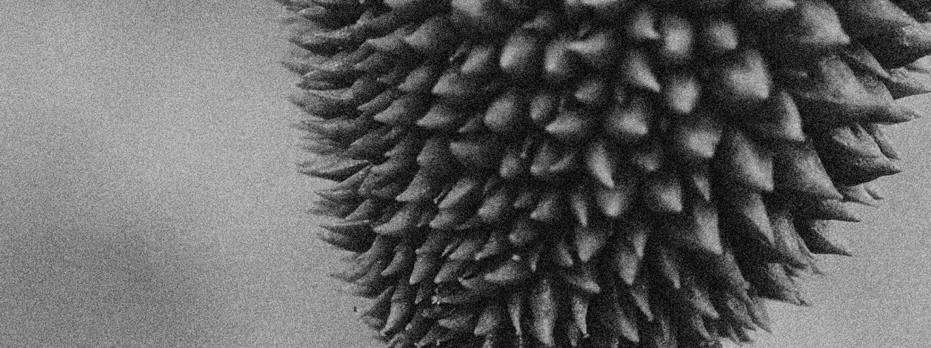 our-durian-0.0eed4c