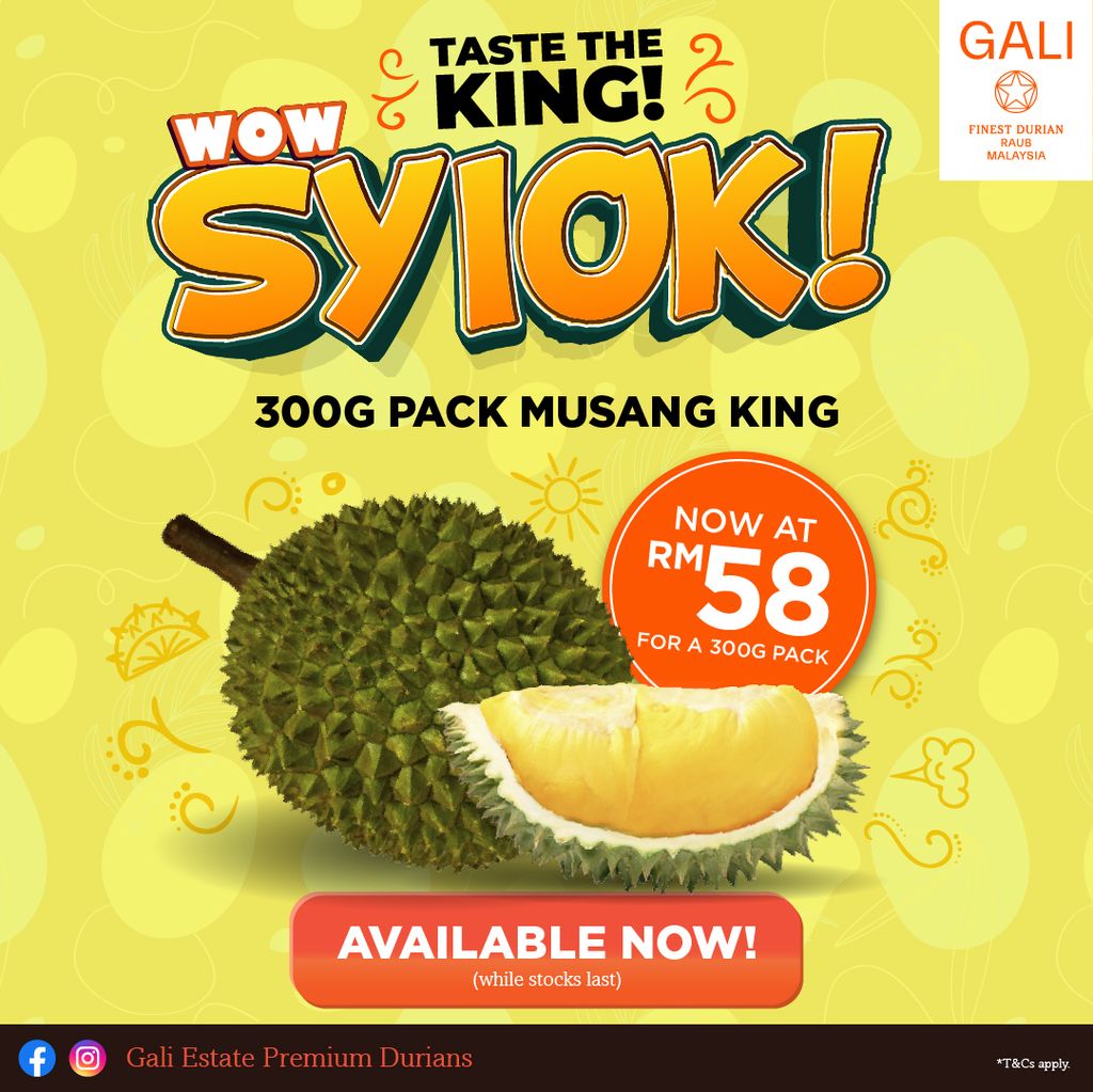 GALI_Durian_2025_Season-2-2025_MK