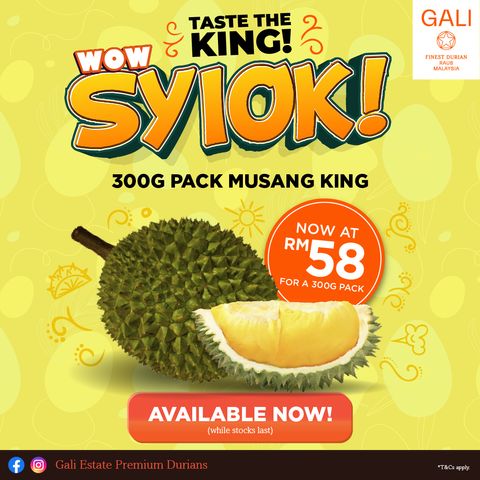 GALI_Durian_2025_Season-2-2025_MK